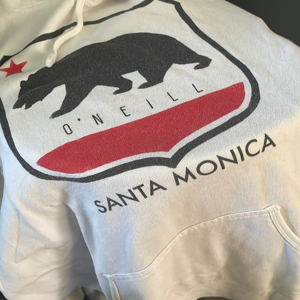 Bear hoodie